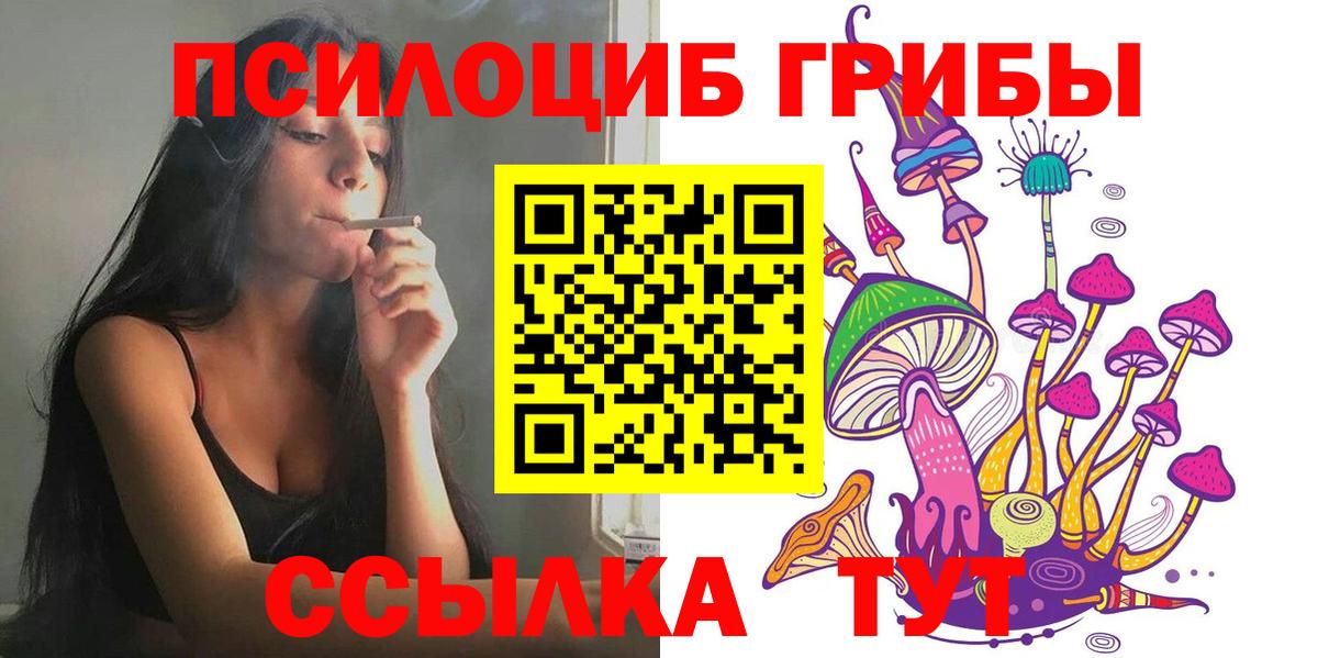 Псилоцибиновые грибы GOLDEN TEACHER  Псилоцибиновые грибы Magic Shrooms  Надым  цены наркотик  Вход с VPN 